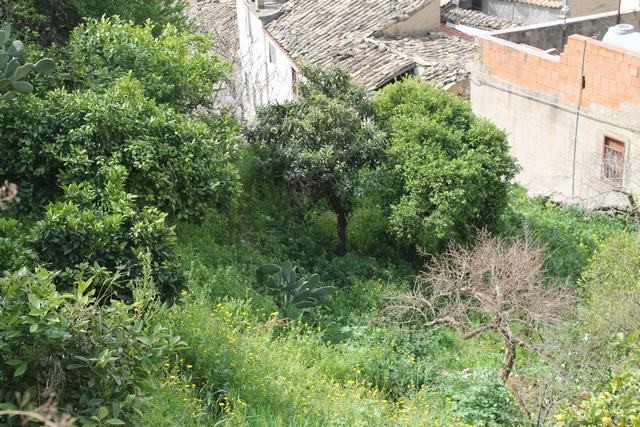 CASA FERRENTELLI – BURGIO (AG)