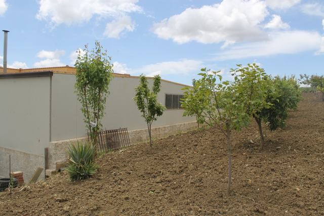 HOUSE AND LAND CARUSO – ZONA CAMPO SPORTIVO