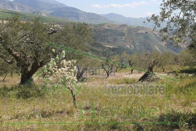 HOUSE WITH LAND MIRELLA - ALESSANDRIA