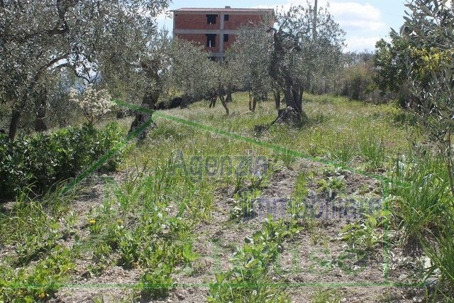 HOUSE WITH LAND MIRELLA - ALESSANDRIA