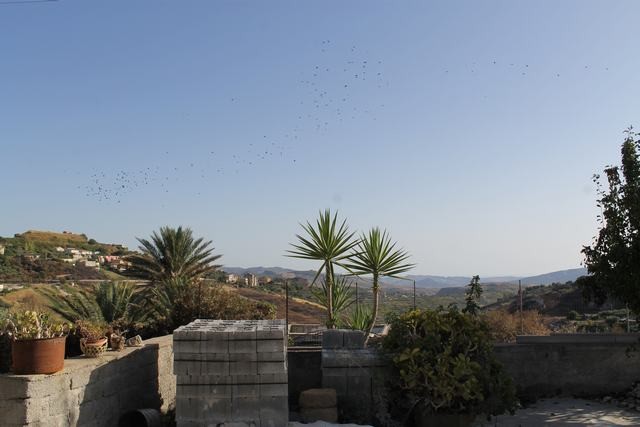 VILLA E TERRENO LO BUE – CDA MARULLO - QUARTO ROCCHI