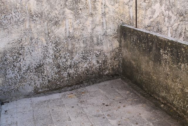 APT ALFANO VIA ROMA E SALITA CONVENTO