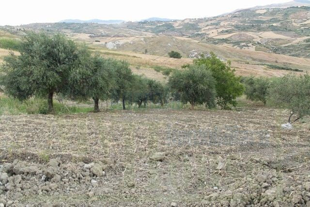 HOUSE AND LAND PULLARA – CDA PETRARO
