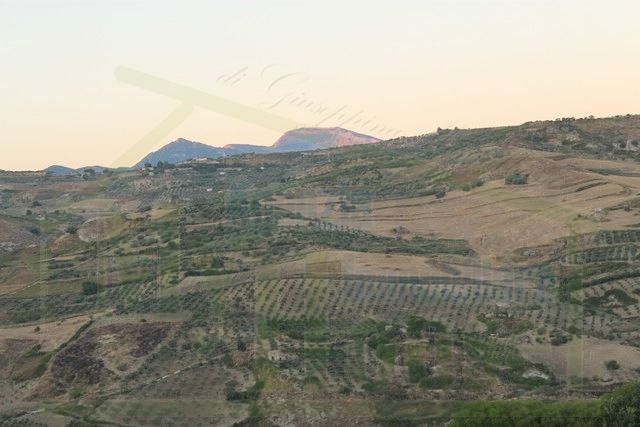 HOUSE AND LAND PULLARA – CDA PETRARO