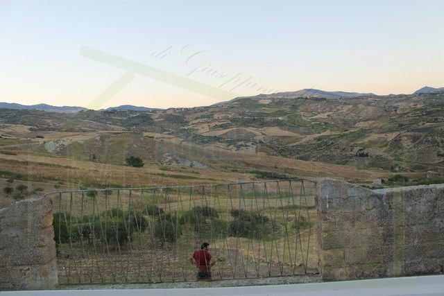 HOUSE AND LAND PULLARA – CDA PETRARO