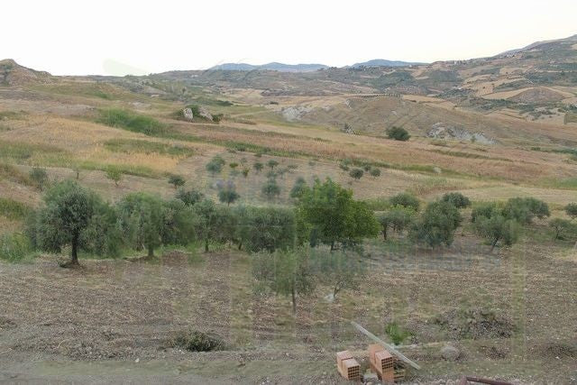 HOUSE AND LAND PULLARA – CDA PETRARO