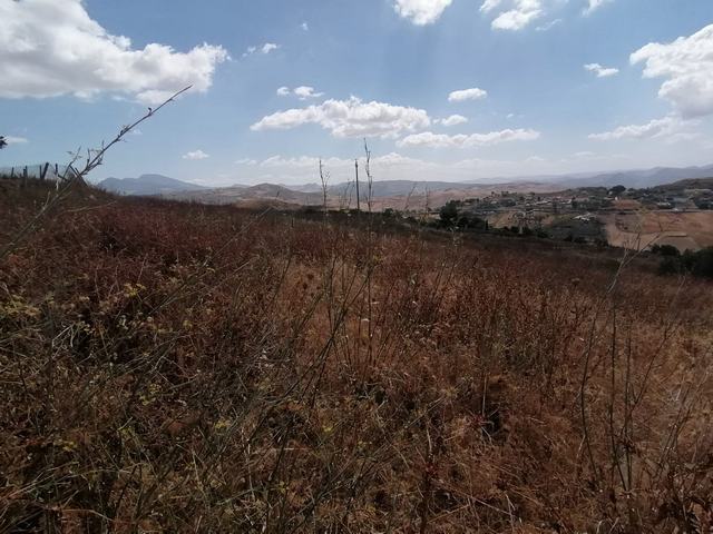 Terreno Panoramico Bellanca - Cda Savarini