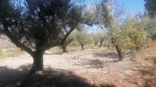 CASA E TERRENO TANINA – CDA CHINESI, ALESSANDRIA