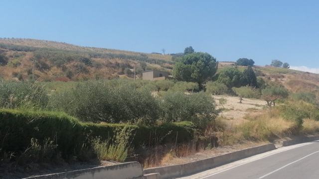 CASA E TERRENO TANINA – CDA CHINESI, ALESSANDRIA