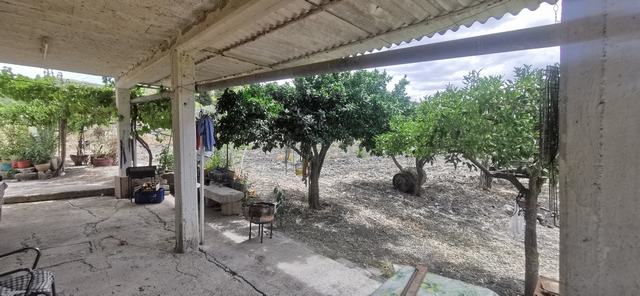 LAND TRIOLO – ALESSANDRIA DELLA ROCCA (AG)