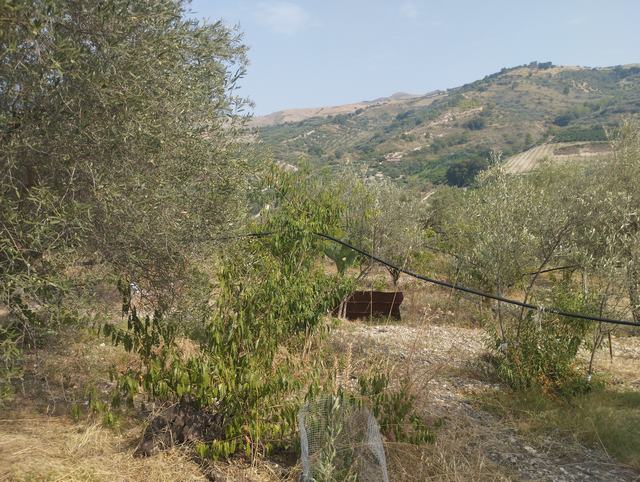 LAND AND WAREHOUSE BELLONE (BIVONA)