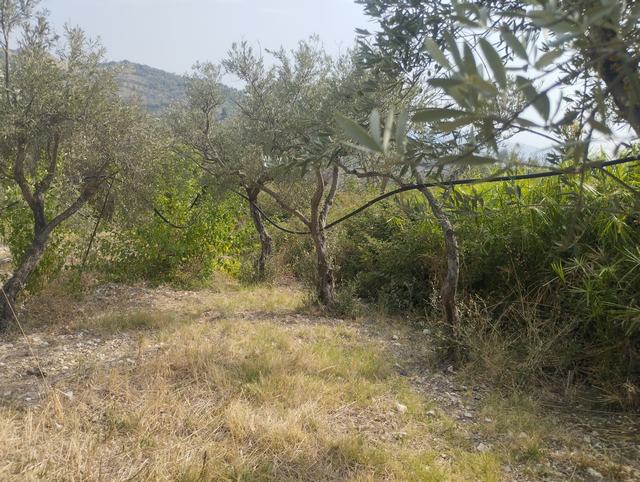 LAND AND WAREHOUSE BELLONE (BIVONA)