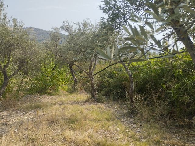 LAND AND WAREHOUSE BELLONE (BIVONA)