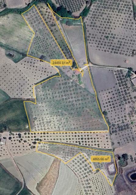 LAND TRIOLO – ALESSANDRIA DELLA ROCCA (AG)