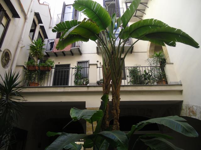 APT D'ANGELO VIA ROMA – PALERMO