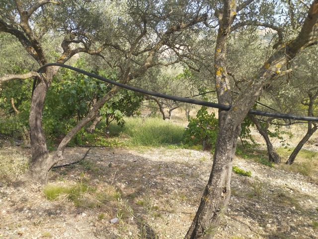 LAND AND WAREHOUSE BELLONE (BIVONA)