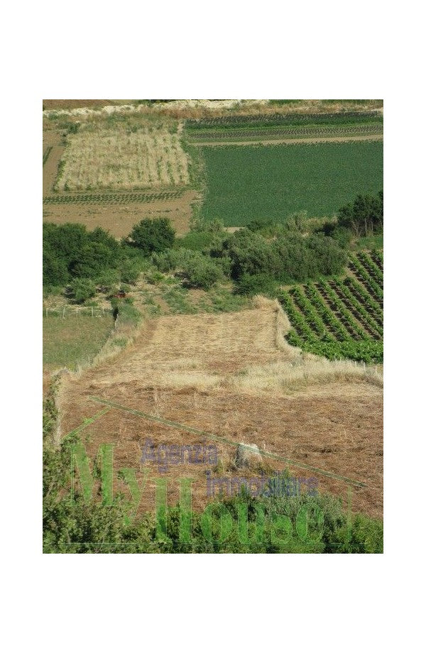 LAND AT SCOPELLO