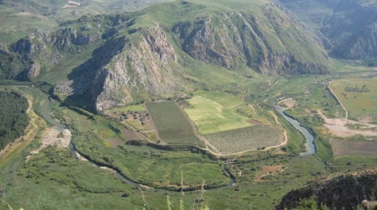 Il Provinciale (Rai 2) - Valle Del Platani - puntata del 07 Novembre 2020