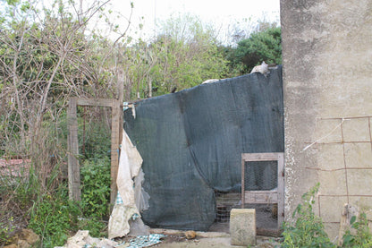 MAGAZZINO AGRICOLO CURABA – CDA ALBANO