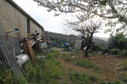 MAGAZZINO AGRICOLO CURABA – CDA ALBANO