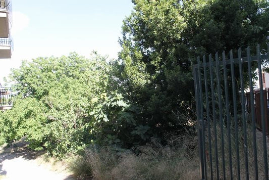 TERRENO TAMBUZZO CDA PASSARELLO