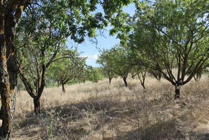 TERRENO TAMBUZZO CDA PASSARELLO