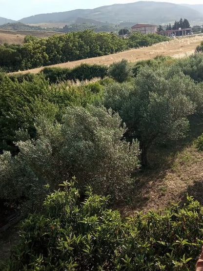 VILLA PATRIZIA – SAN PIETRO (CASTRONOVO DI SICILIA)