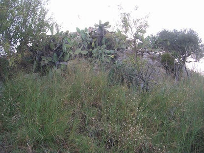 TERRENO E CASA  GRIMALDI CDA BISSANA