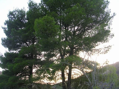 TERRENO E CASA  GRIMALDI CDA BISSANA