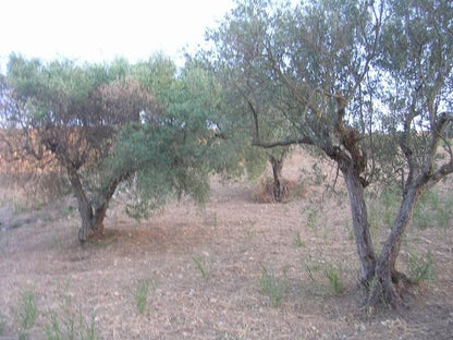 TERRENO E CASA  GRIMALDI CDA BISSANA