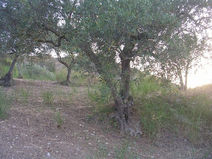 TERRENO E CASA  GRIMALDI CDA BISSANA