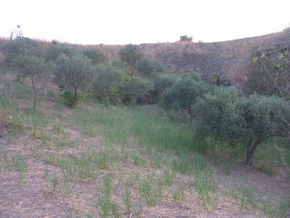 TERRENO E CASA  GRIMALDI CDA BISSANA