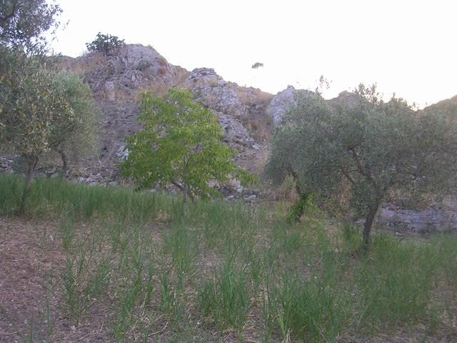 TERRENO E CASA  GRIMALDI CDA BISSANA