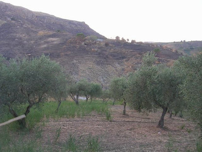 TERRENO E CASA  GRIMALDI CDA BISSANA