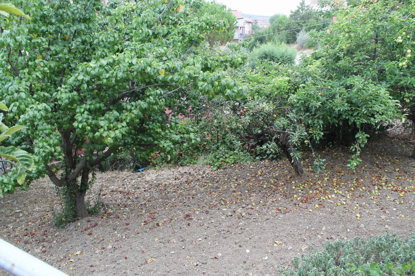 VILLA E TERRENO GODDARD – ALESSANDRIA DELLA ROCCA (AG)