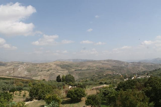 APT PANORAMICO CUFFARO CORSO CINQUEMANI
