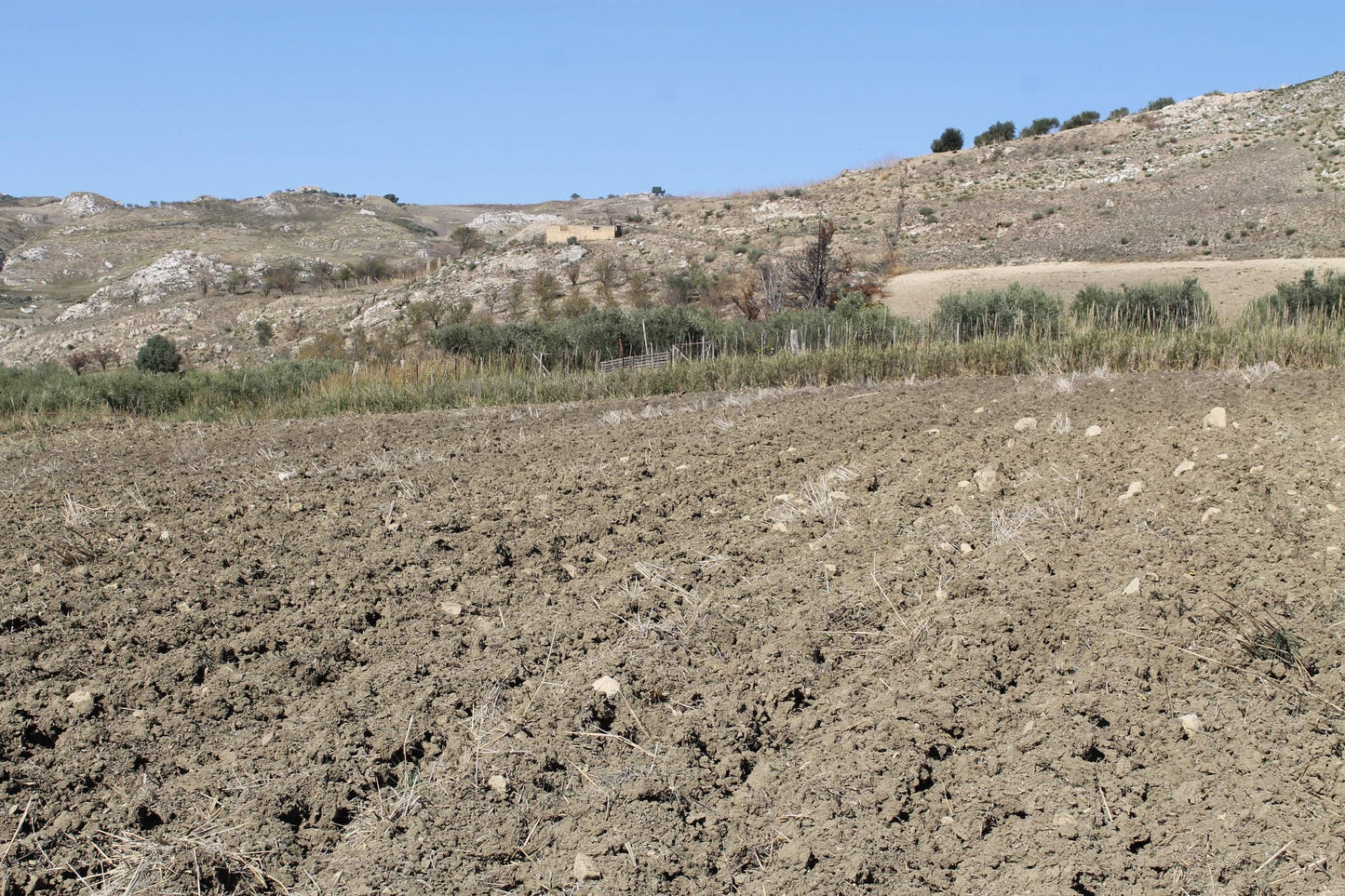 TERRENO D'ANGELO – CDA QUATTRO FINASDI