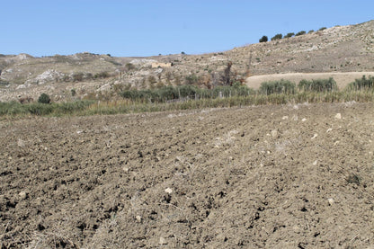 TERRENO D'ANGELO – CDA QUATTRO FINASDI