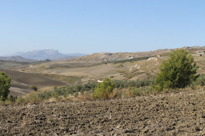 TERRENO D'ANGELO – CDA QUATTRO FINASDI