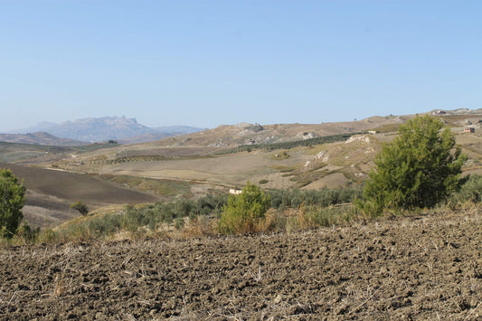 TERRENO D'ANGELO – CDA QUATTRO FINASDI