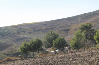 TERRENO D'ANGELO – CDA QUATTRO FINASDI