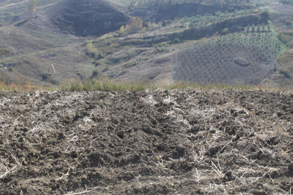 TERRENO D'ANGELO – CDA QUATTRO FINASDI