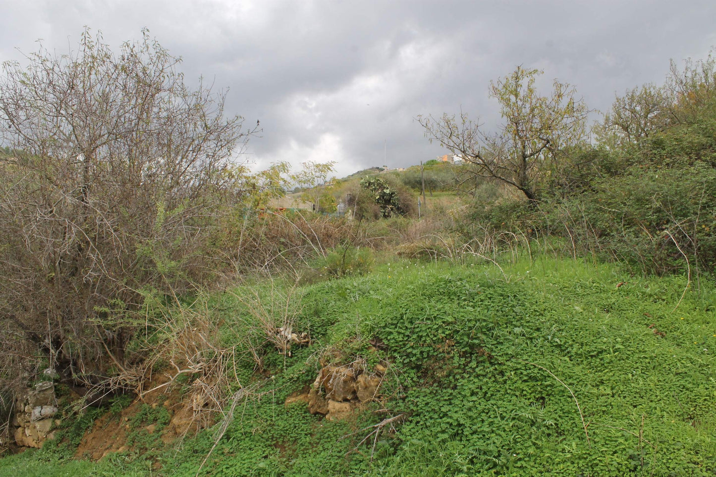 MAGAZZINO E TERRENO GIANNONE – CDA  ALBANO