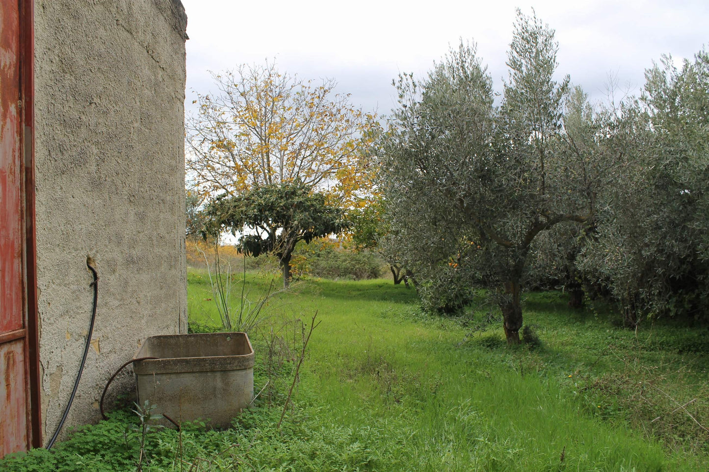 MAGAZZINO E TERRENO GIANNONE – CDA  ALBANO