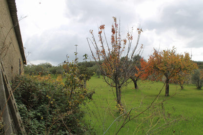 MAGAZZINO E TERRENO GIANNONE – CDA  ALBANO