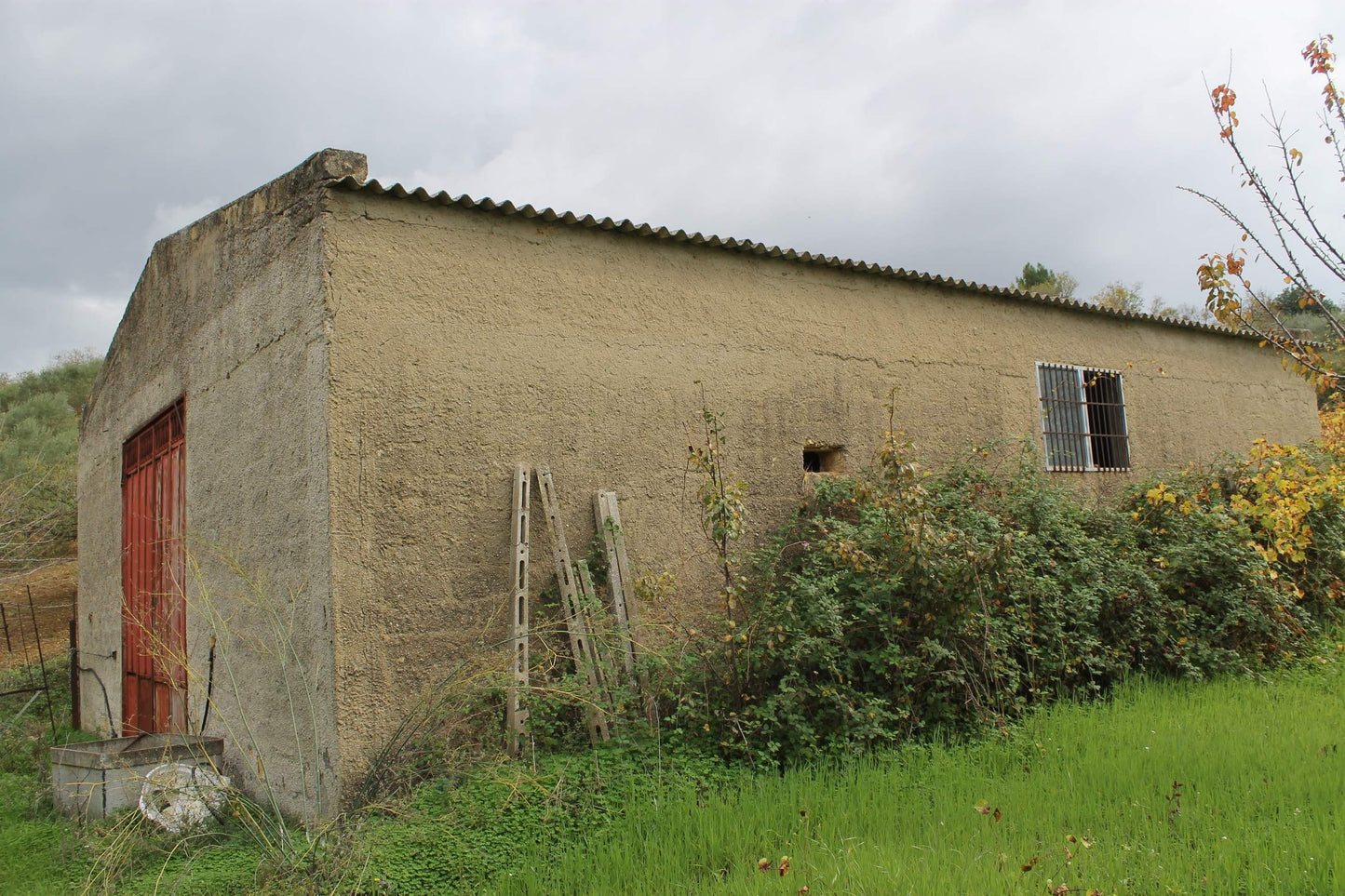 MAGAZZINO E TERRENO GIANNONE – CDA  ALBANO