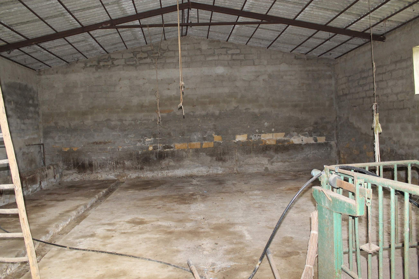 MAGAZZINO E TERRENO GIANNONE – CDA  ALBANO