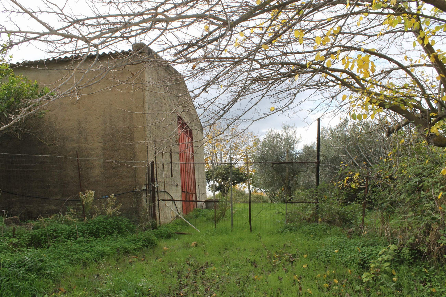 MAGAZZINO E TERRENO GIANNONE – CDA  ALBANO
