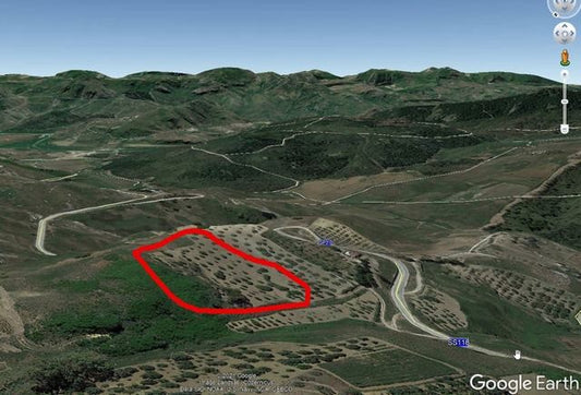 TERRENO E CASA CARUBIA – CONTRADA NANNO