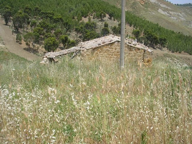 CASA E TERRENO MULA – CDA CIPOLLA